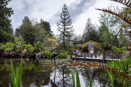 vancouver-park-board-hikes-fees-amid-pressure-to-meet-sims-budget-plan