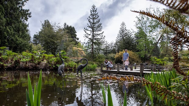 vancouver-park-board-hikes-fees-amid-pressure-to-meet-sims-budget-plan