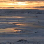 study-says-climate-change-could-result-in-high-rate-of-contaminants-spreading-in-water