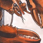 bruce-mackinnon:-lobster-sales-going-off-the-boil?