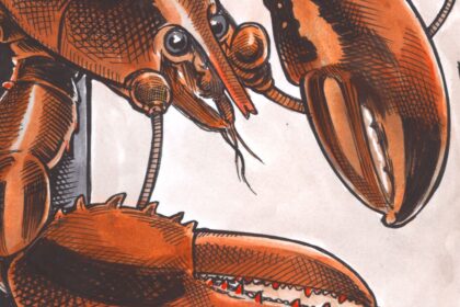 bruce-mackinnon:-lobster-sales-going-off-the-boil?