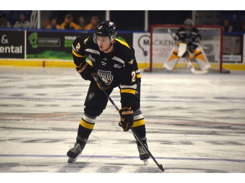 qmjhl:-cape-breton-eagles-release-forward-and-defenceman
