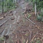 landslide-prompts-water-supply-concerns-near-sayward,-bc.