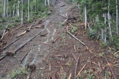 landslide-prompts-water-supply-concerns-near-sayward,-bc.