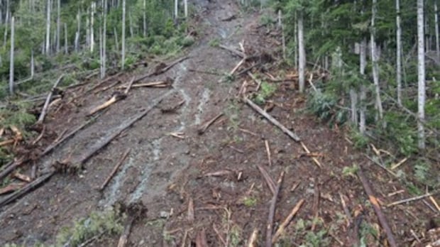 landslide-prompts-water-supply-concerns-near-sayward,-bc.