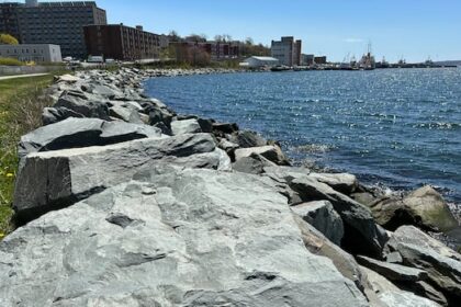 infilling-now-restricted-in-dartmouth-cove,-as-new-rules-pass-provincial-approval