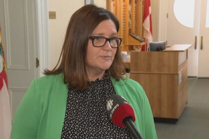 outdated-income-thresholds-shutting-some-islanders-out-of-supports,-green-party-says