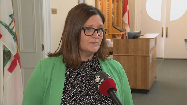 outdated-income-thresholds-shutting-some-islanders-out-of-supports,-green-party-says