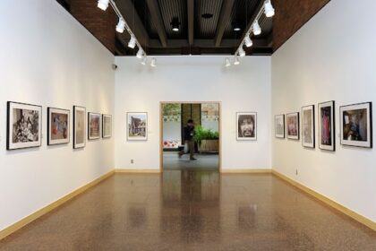 federal-indigenous-art-collection-has-over-100-artworks-‘not-accounted-for’