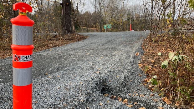 fredericton-resident-launches-legal-action-against-province,-city-over-forest-hill-tiny-home-development