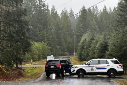pilot-dies-in-small-plane-crash-in-wooded-area-near-nanaimo