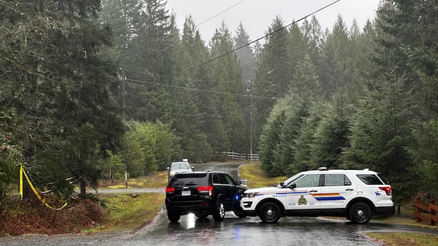 pilot-dies-in-small-plane-crash-in-wooded-area-near-nanaimo