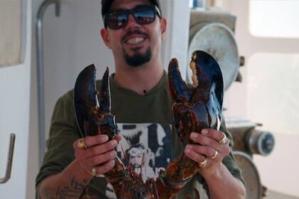 some-commercial-lobster-fishers-say-indigenous-treaty-fishing-threatens-stocks.-government-memo-says-otherwise