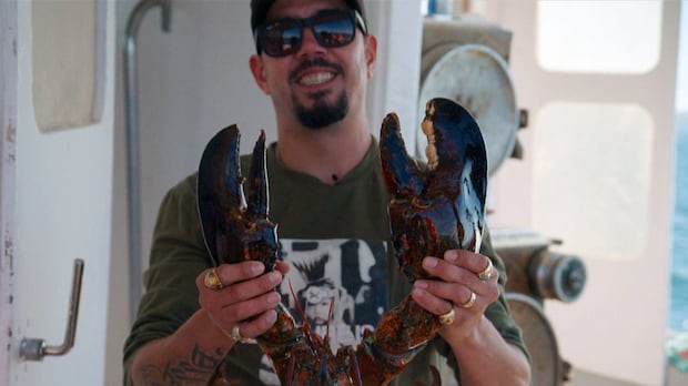 some-commercial-lobster-fishers-say-indigenous-treaty-fishing-threatens-stocks.-government-memo-says-otherwise