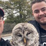 police-officer-and-aspiring-falconer-swoops-in-to-aid-injured-owl