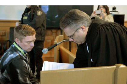 ‘nan-is-hurt,-you-hurt-nan’:-st.-john’s-man-pleads-guilty-to-killing-his-nan-in-‘combat-seizure’