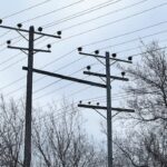 manitoba-hydro-to-cut-down-more-than-250-trees-in-shaughnessy-heights