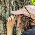 nb.-researchers-find-lichen-species-in-most-eastern-place-on-record