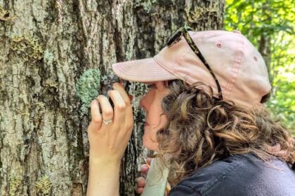 nb.-researchers-find-lichen-species-in-most-eastern-place-on-record