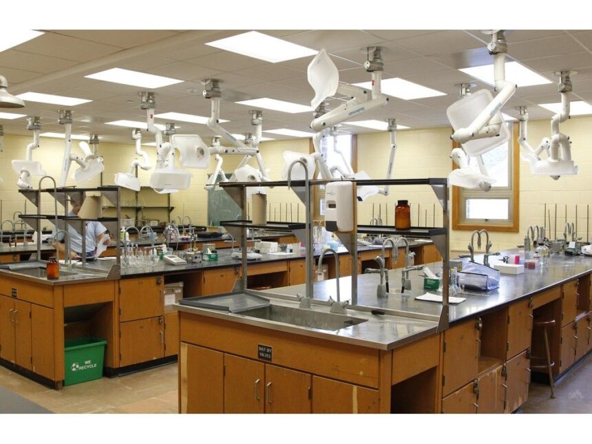 opinion:-atlantic-canadas-future-depends-on-talent