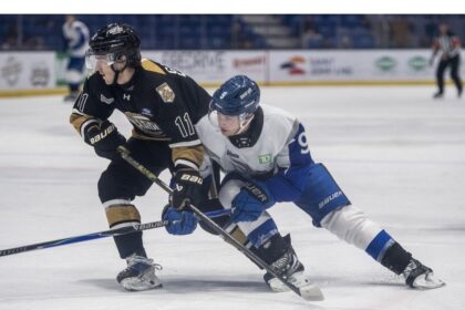 panthers-back-at-home-against-memorial-in-aus-basketball-play-nov.-29