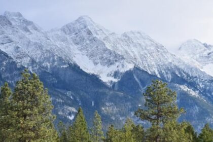 properties-ordered-evacuated-after-train-derailment-east-of-cranbrook,-bc.