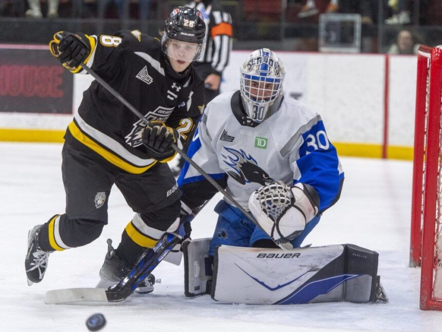 qmjhl:-cape-breton-eagles-complete-weekend-sweep-over-saint-john-sea-dogs