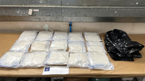 canadian-arrested-in-new-zealand,-accused-of-smuggling-15-kg-of-meth