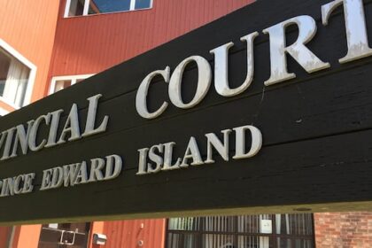 charlottetown-man-gets-jail-time-for-endangering-son-on-3rd-floor-rooftop