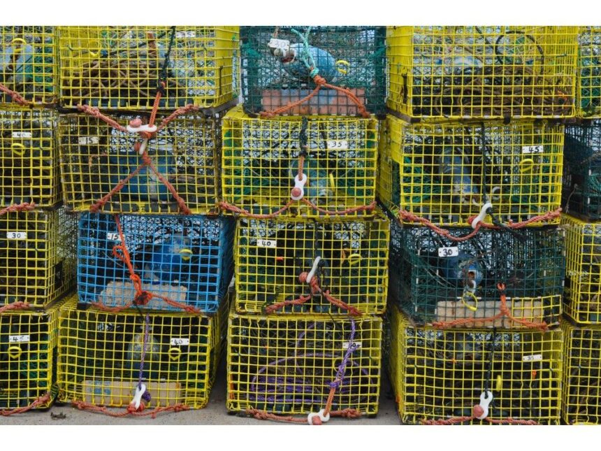 charges,-profiteering-off-the-illegal-fishery-and-lawsuits:-how-china’s-first-big-investment-in-nova-scotia-lobster-turned-sour