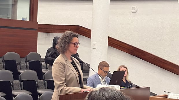 saint-john-staff-pressed-by-frustrated-councillors-on-encampment-ban-strategy