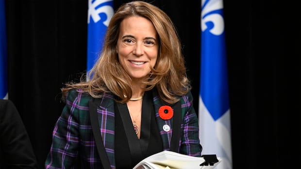 experts-warn-merger-of-2-quebec-health-agencies-could-undermine-public-health