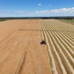 future-of-pei.-grain-exports-in-question-with-uncertainty-around-port-of-halifax-elevator