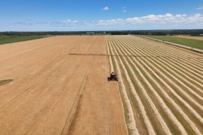 future-of-pei.-grain-exports-in-question-with-uncertainty-around-port-of-halifax-elevator