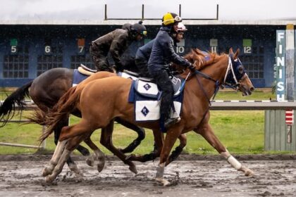 bc.-government-to-stop-sharing-slots-revenue-with-horse-racing-industry