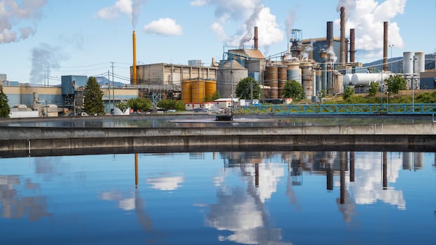 domtar-announces-permanent-closure-of-mill-in-crofton,-bc.