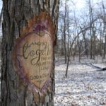 too-much-timbercraft-in-st.-vital-park-leads-winnipeg-to-take-woodwork-down-a-notch