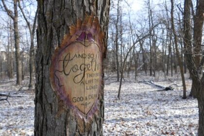 too-much-timbercraft-in-st.-vital-park-leads-winnipeg-to-take-woodwork-down-a-notch