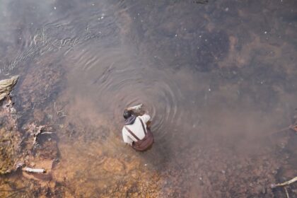 will-more-soybeans-equal-fewer-anoxic-events-in-pei.-waterways?-this-researcher-says-yes