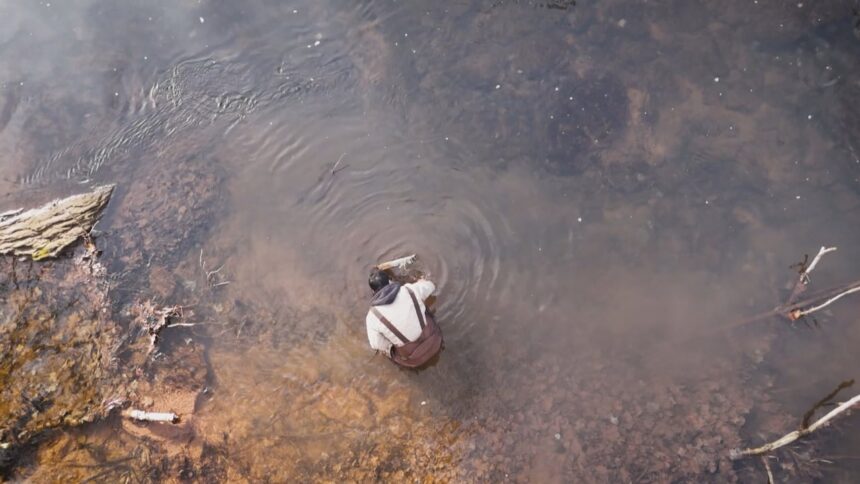 will-more-soybeans-equal-fewer-anoxic-events-in-pei.-waterways?-this-researcher-says-yes