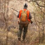 misipawistik-cree-nation-urges-manitoba-to-cancel-december-moose-licences-as-season-opens