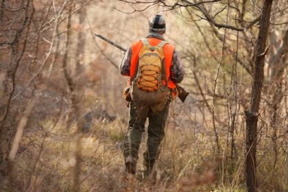 misipawistik-cree-nation-urges-manitoba-to-cancel-december-moose-licences-as-season-opens