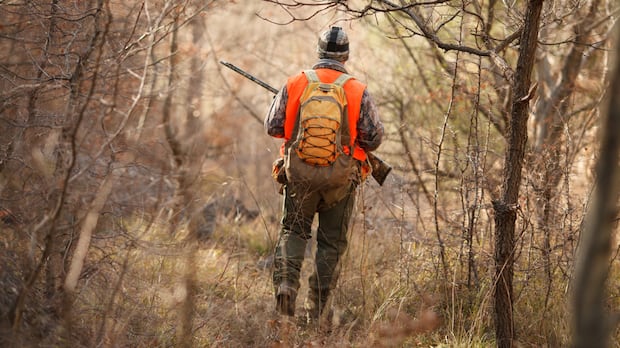 misipawistik-cree-nation-urges-manitoba-to-cancel-december-moose-licences-as-season-opens