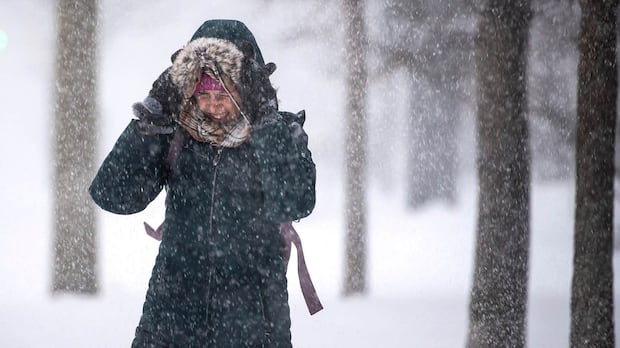 part-of-the-outaouais-under-a-snow-squall-watch-wednesday