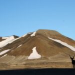 thinking-critically-about-carneys-proposed-conservation-corridor-in-northwest-bc.