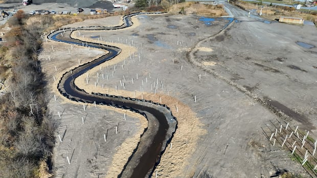 fish-habitat-restored-at-unnaturally-straight-saint-john-creek