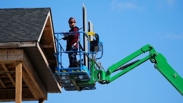 ottawa’s-zoning-overhaul-should-drive-density,-not-3-storey-‘mansions,’-councillor-says