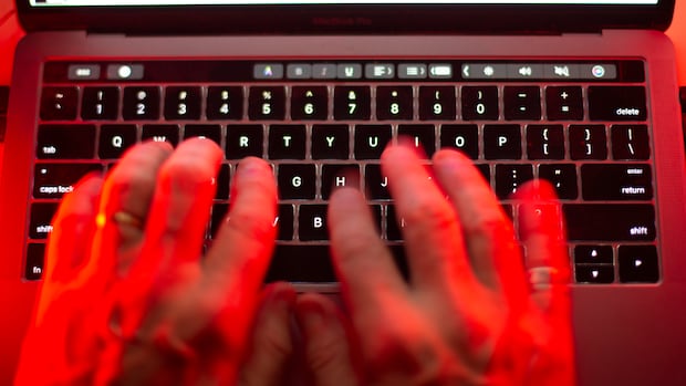 intelligence-watchdog-facing-cuts-as-liberals-seek-new-powers-for-national-security-agencies