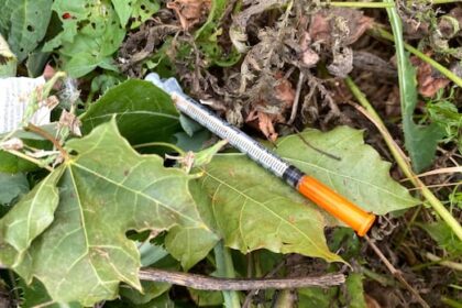 more-than-6,000-needles-collected-from-inner-city-winnipeg-parks-and-public-spaces-during-summer-sweep