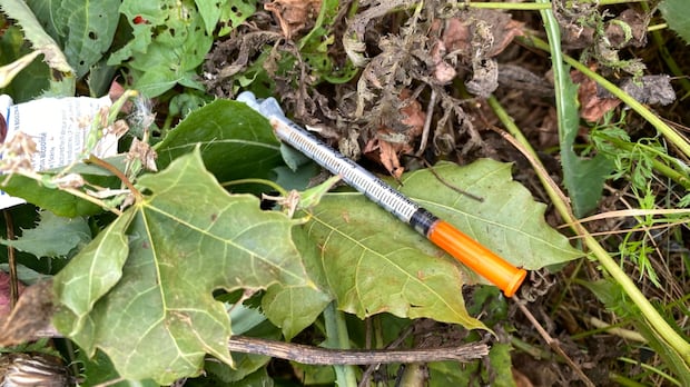 more-than-6,000-needles-collected-from-inner-city-winnipeg-parks-and-public-spaces-during-summer-sweep